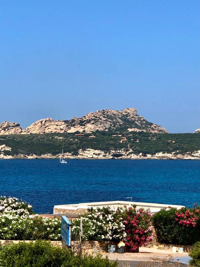 Appartamento Incantevole Con Vista Mare Buoncammino Ngoại thất bức ảnh
